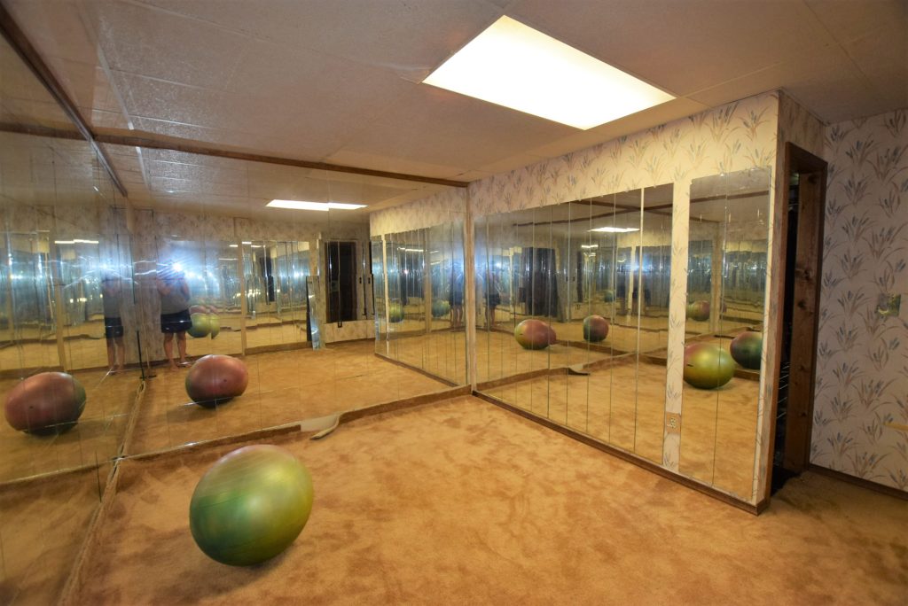 mirrors gym